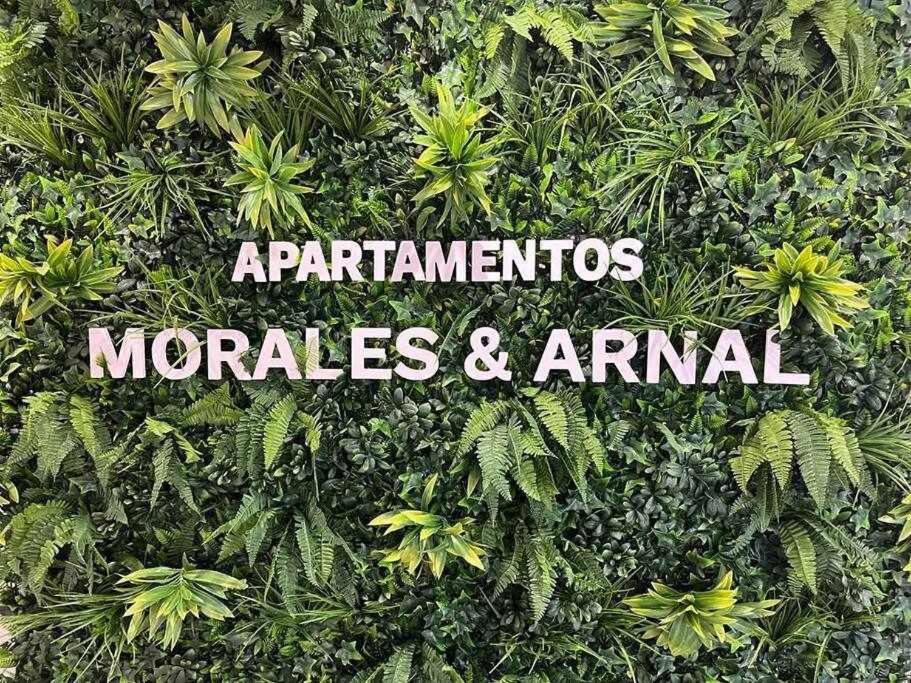 XXI E Apartamentos Morales & Arnal 론다 외부 사진